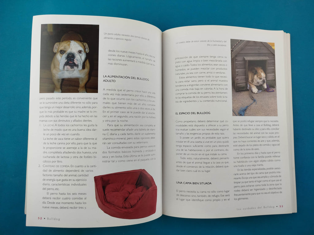 Bulldog Inglés by Varios Autores
