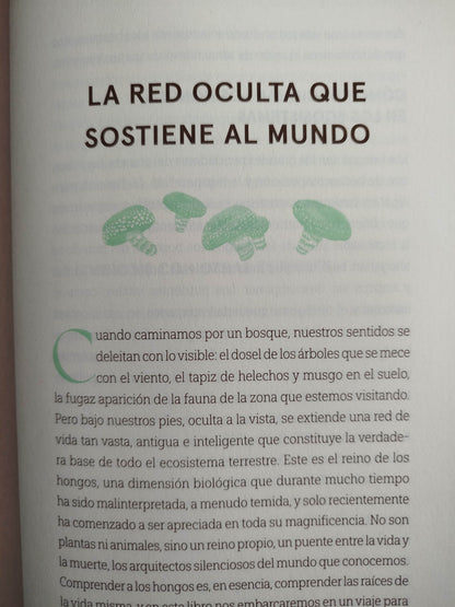 Hongos que curan by Diana Carolina Quintero Gil