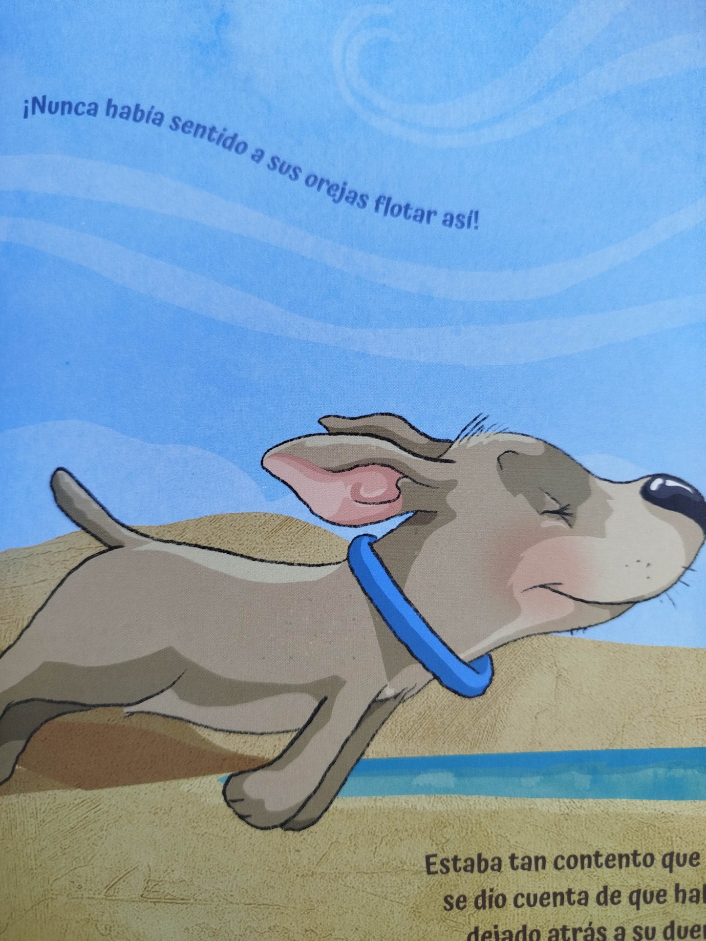 Perro Y Foca by Antonio Santa Ana