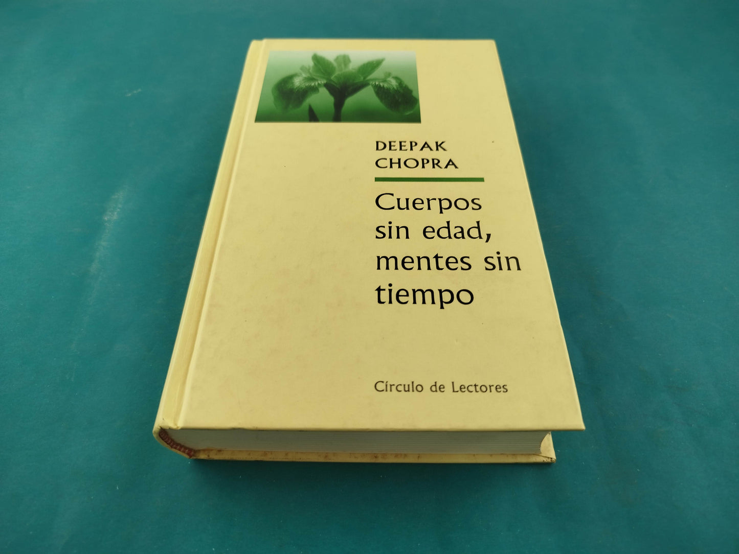 Cuerpos sin edad, mentes sin tiempo
