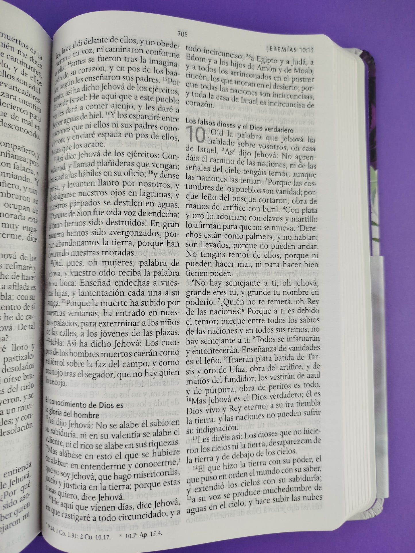 Biblia rvr 1960 letra grande tamaño manual tapa dura tela morada con flores con imágenes de la tierra santa