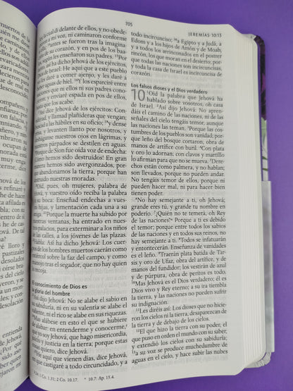 Biblia rvr 1960 letra grande tamaño manual tapa dura tela morada con flores con imágenes de la tierra santa