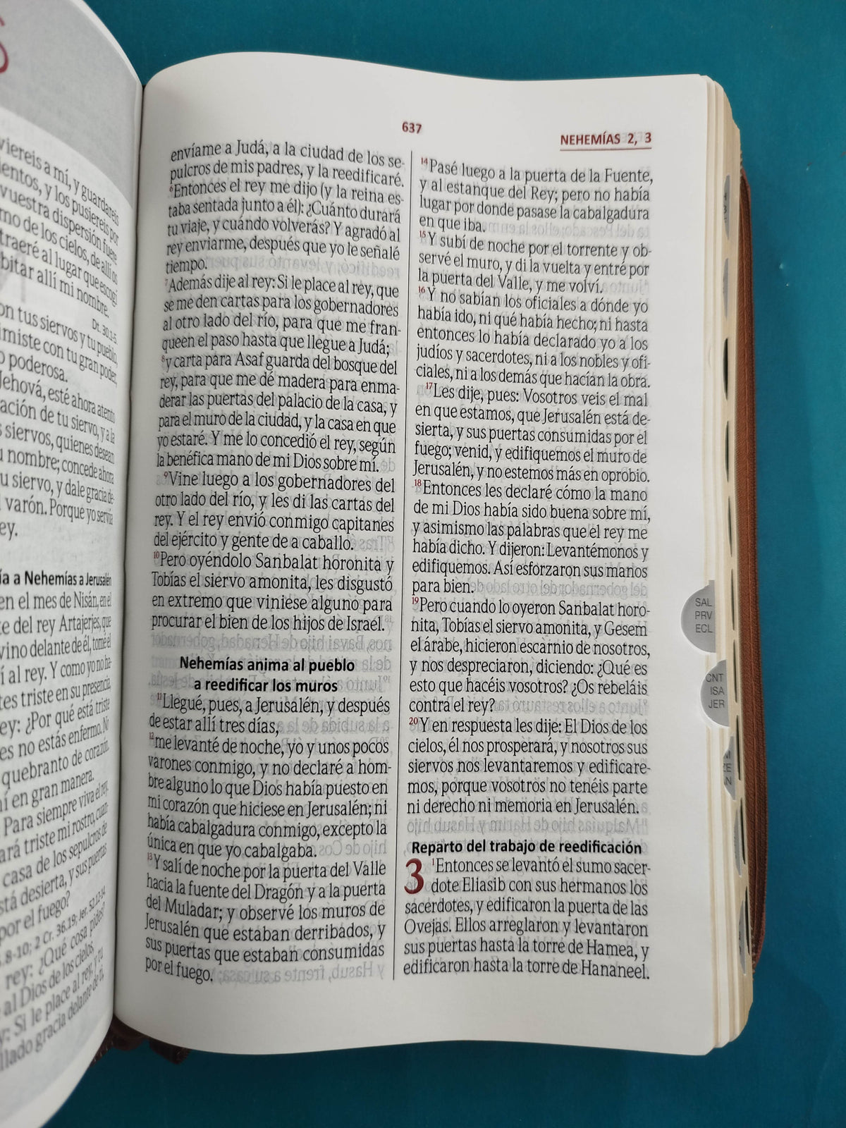 Biblia rvr 1960 Miel - Café con canto dorado cierre e indice by Reina Valera 1960