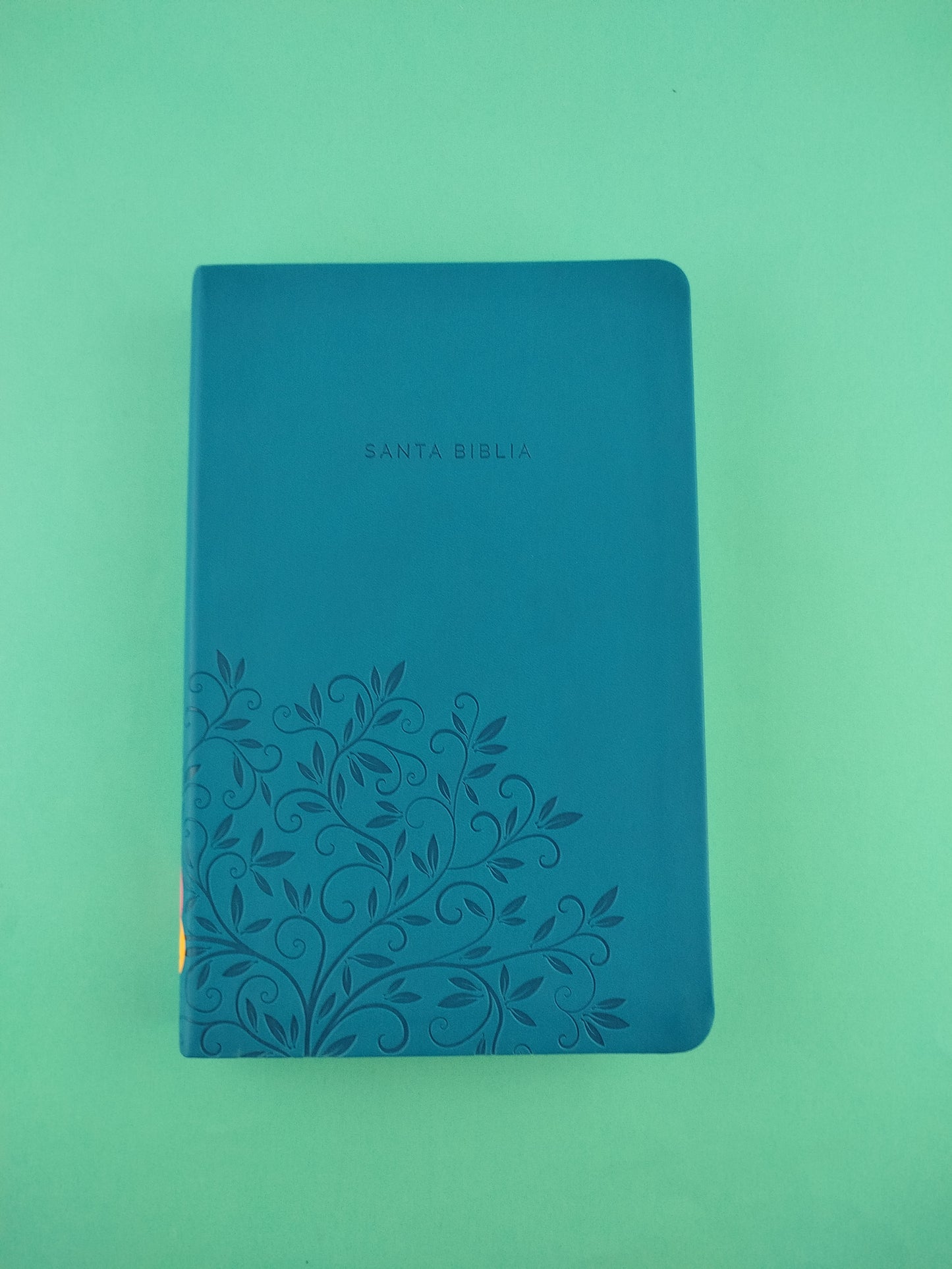 Biblia rvr 1960 letra grande tipo agenda azul sin cierre borde plateado e imágenes de la tierra santa tamaño manual