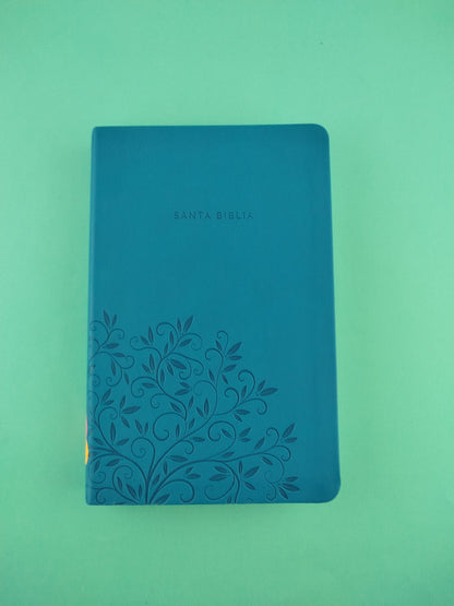 Biblia rvr 1960 letra grande tipo agenda azul sin cierre borde plateado e imágenes de la tierra santa tamaño manual