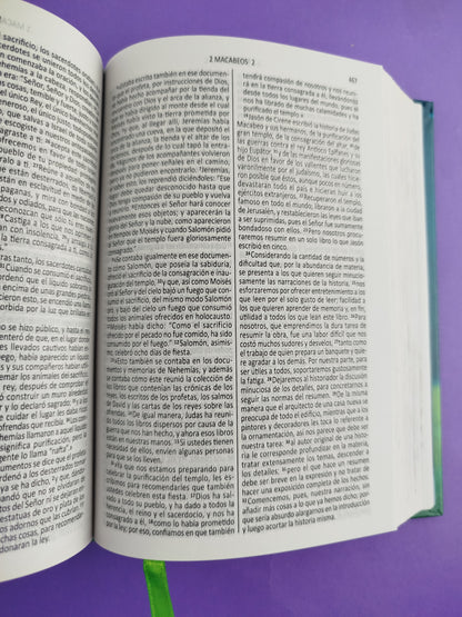 Biblia valientes con Jesús Dios habla hoy