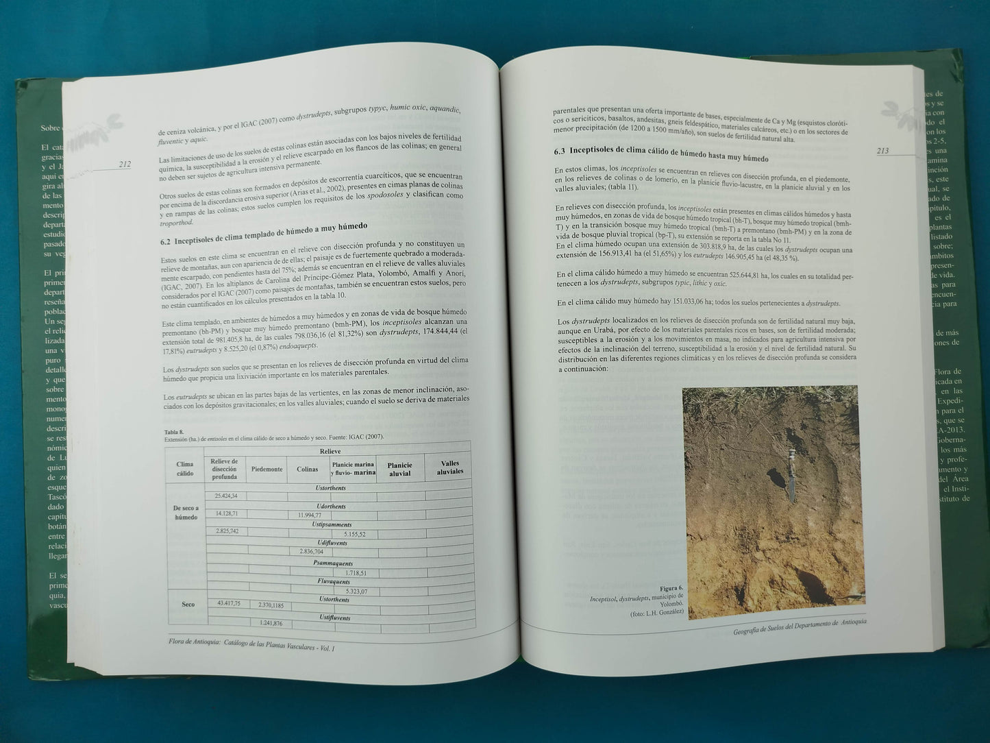 Flora de Antioquia : catálogo de las plantas vasculares