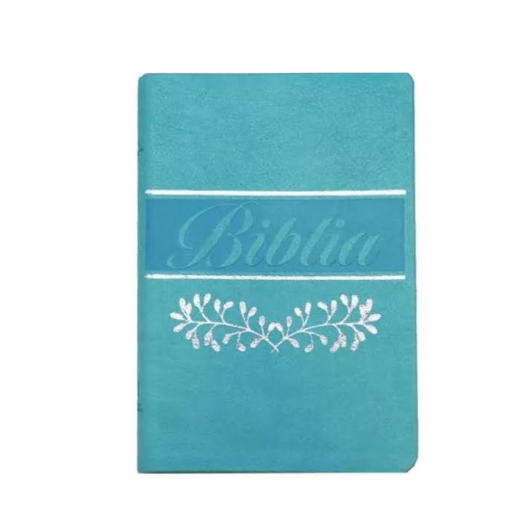 Biblia rvr 1960 tipo agenda verde menta by reina valera 1960