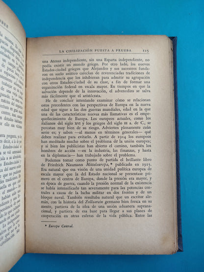 La civilización puesta a prueba