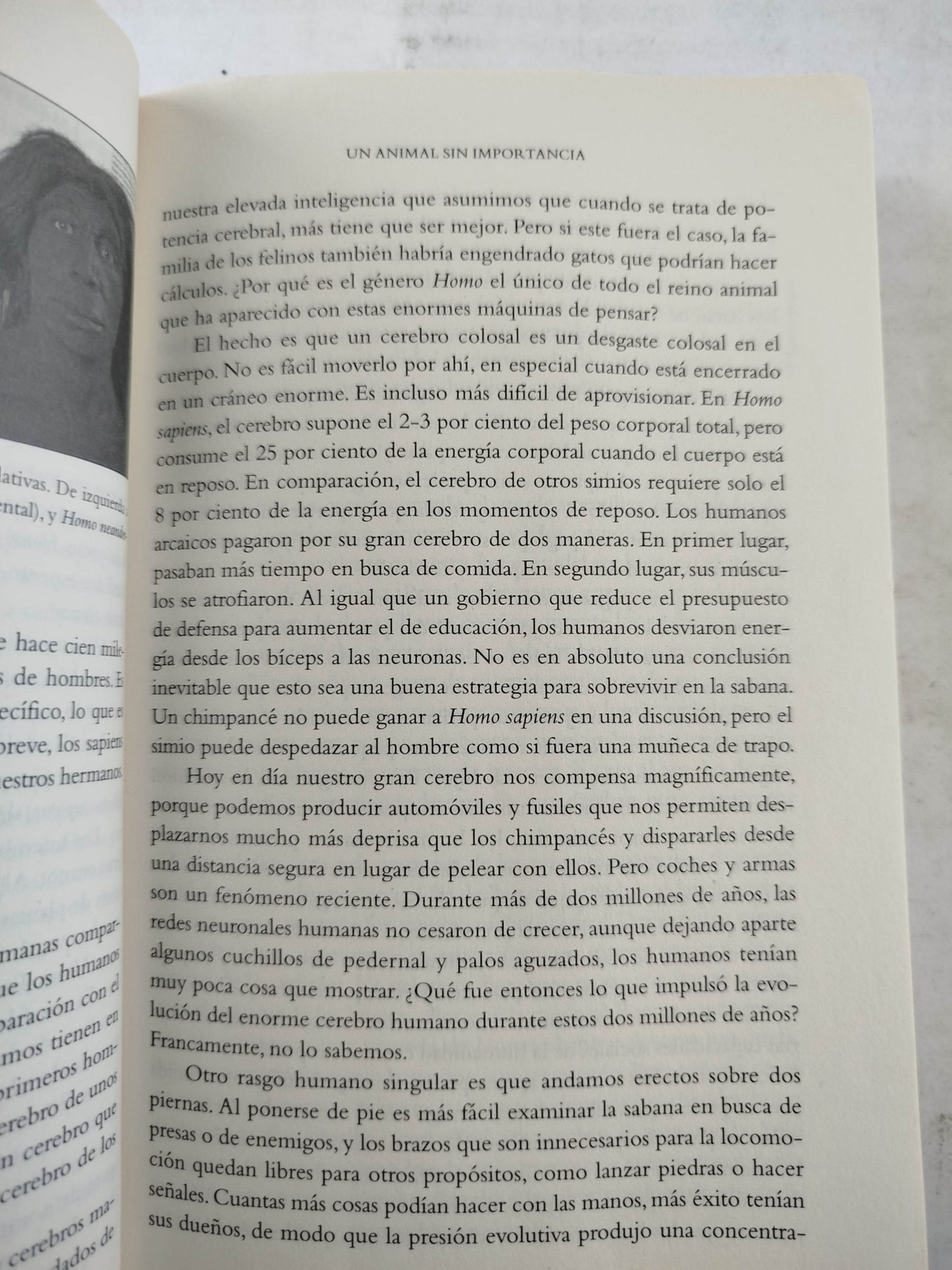 De animales a dioses by Yuval Noah Harari