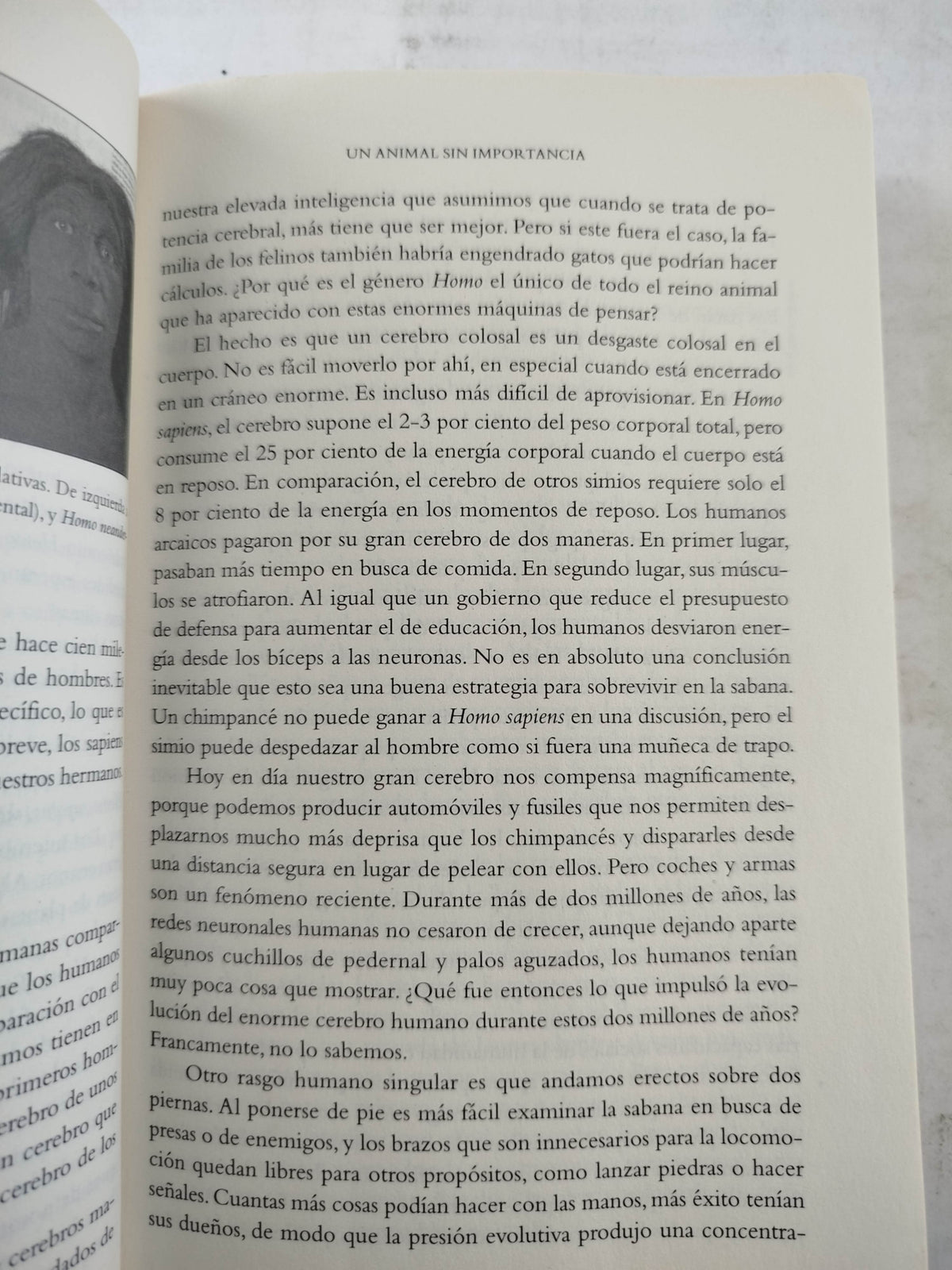 De animales a dioses by Yuval Noah Harari