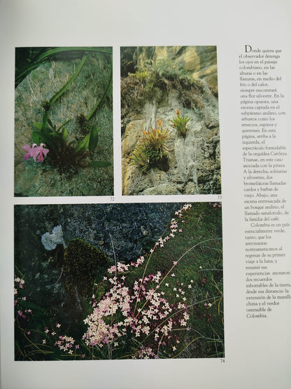 Colombia Tierra De Flores by Benjamin Villegas