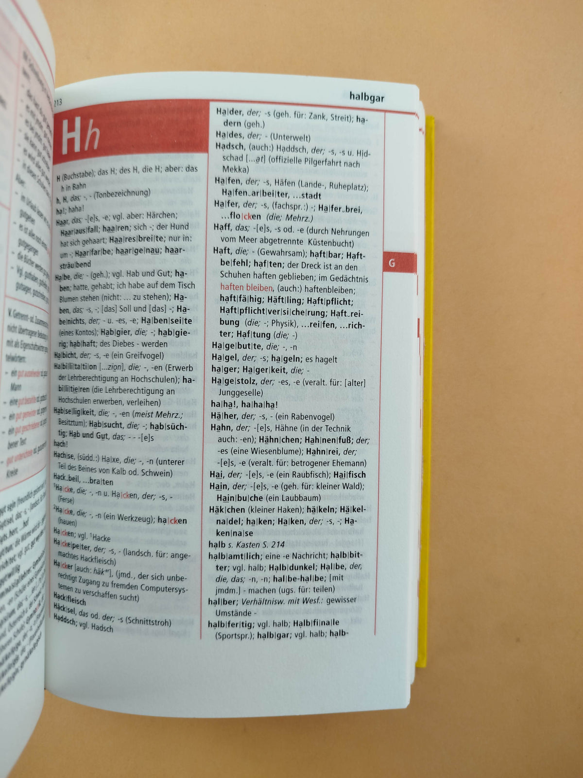 Der Kleine Duden Deutsches Worterbuch by Dudenverlag