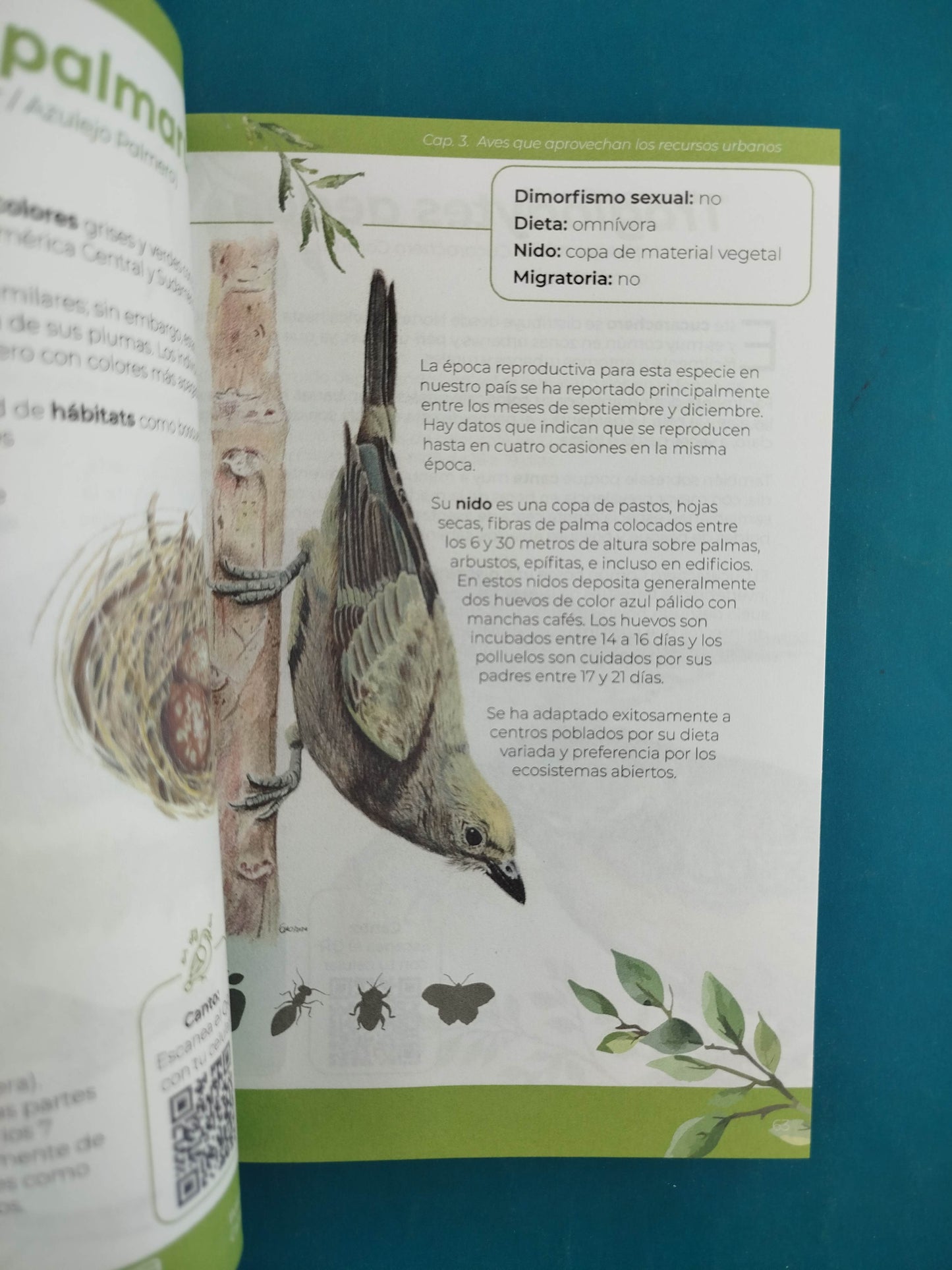 Aves de Cali un libro ilustrado por estudiantes de la universidad icesi