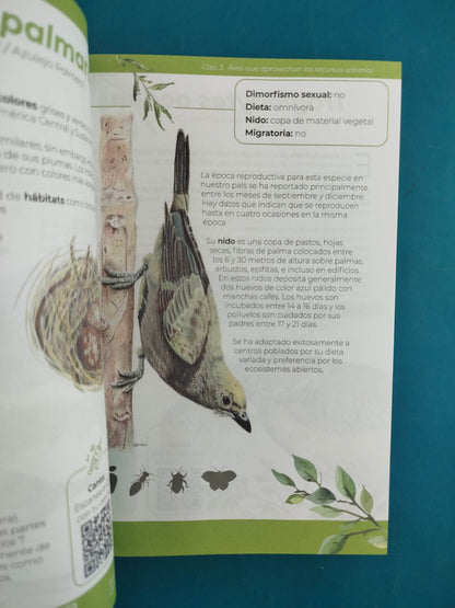 Aves de Cali un libro ilustrado por estudiantes de la universidad icesi