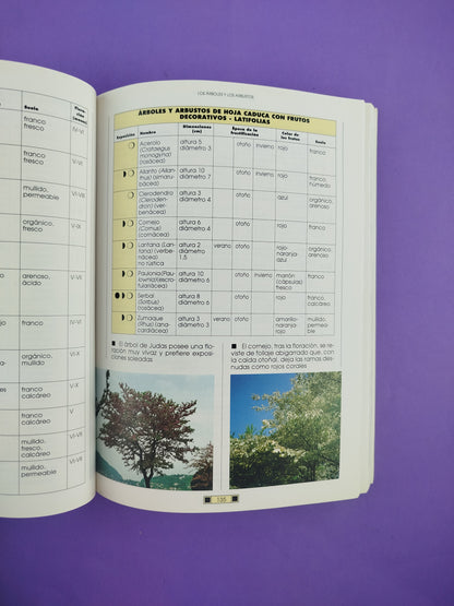 El Libro Del Jardín