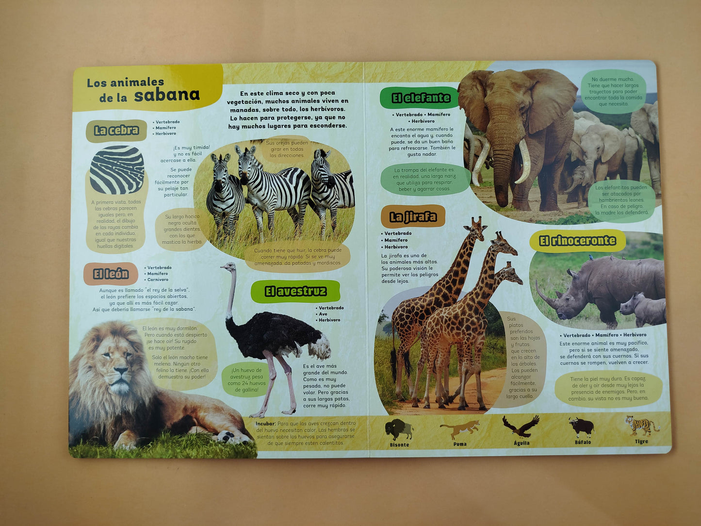 Mi Libro de Animales Increíbles