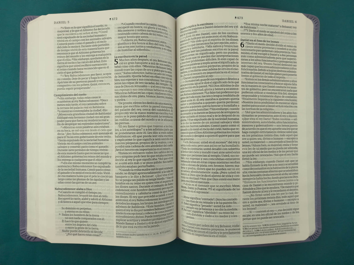 Biblia NTV Filament morado by Tyndale