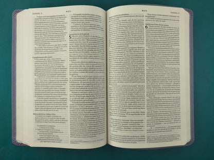 Biblia NTV Filament morado