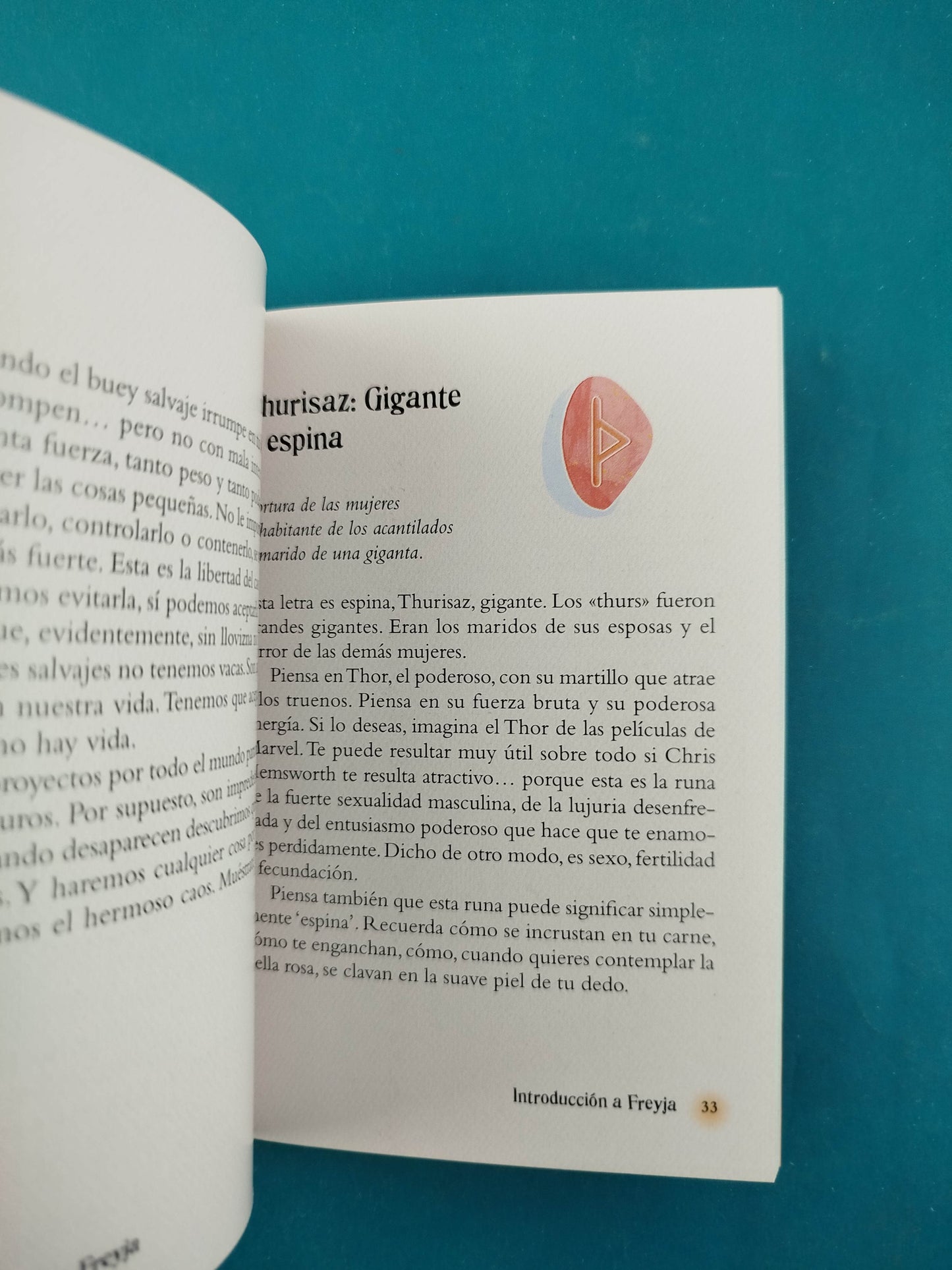 El pequeño libro de las runas