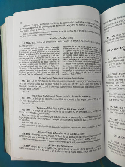 Código Civil 2009 Anotado