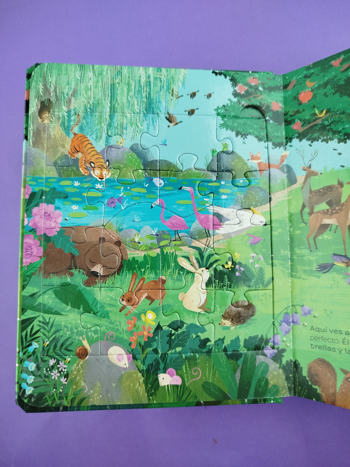 Mi pequeña biblia de rompecabezas e imágenes acartonada by Reina Valera 1960