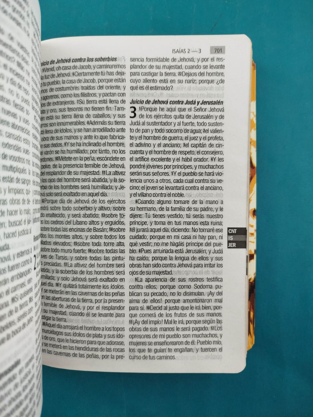 Biblia RVR 1960 Letra Grande leon, tapa flexible, borde dorado, sin cierre by Reina Valera 1960
