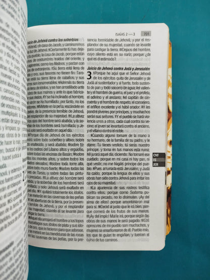 Biblia RVR 1960 Letra Grande leon, tapa flexible, borde dorado, sin cierre