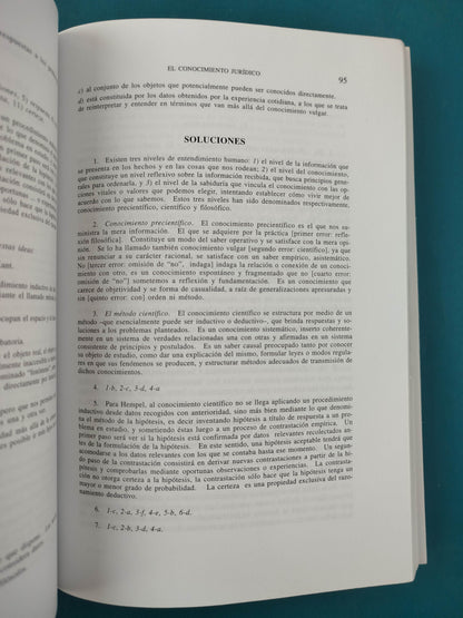 Introduccion Al Derecho: Teoria General, Argumentacion, Razonamiento Juridico