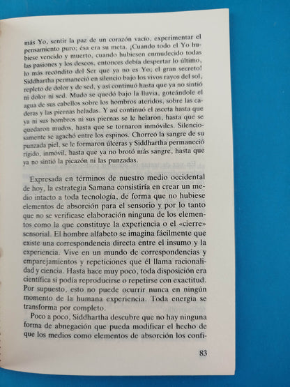 Guerra y paz en la aldea global