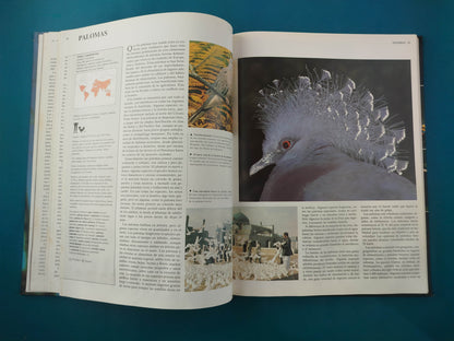 Enciclopedia de los Animales Aves tomo 2