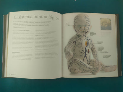 Bebés la maravillosa historia de los dos primeros años de vida