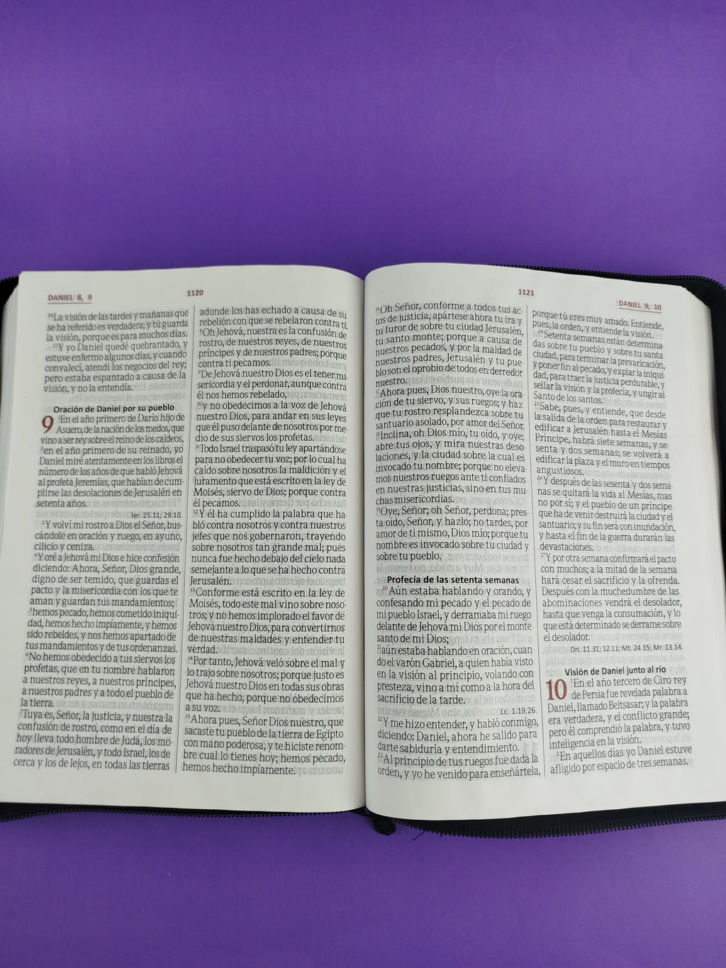 Biblia Letra Gigante Negra Gris Sin Indice by libreriatroya.com