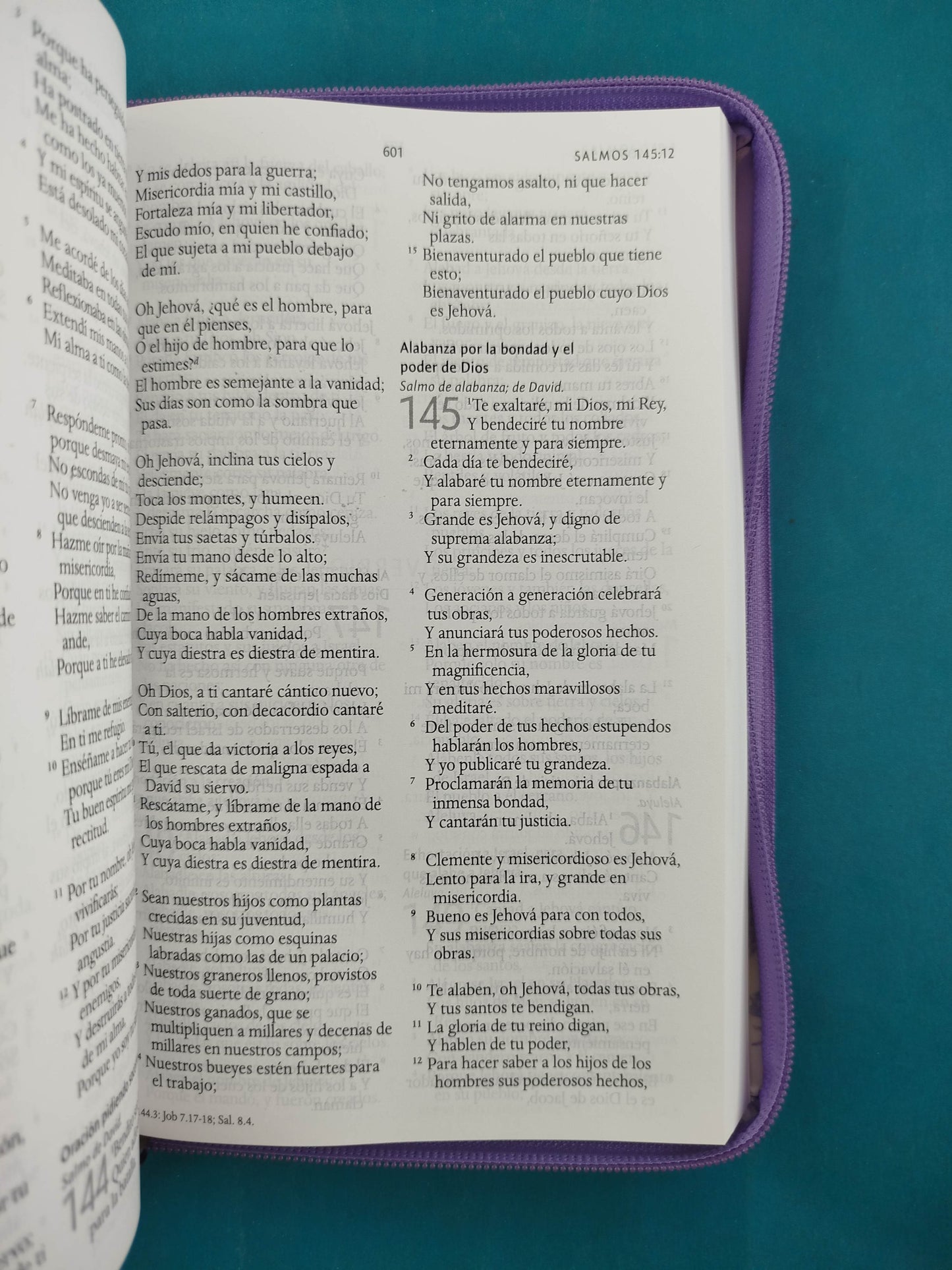 Biblia RVR 1960 Letra Grande Estuche lila con Mariposas