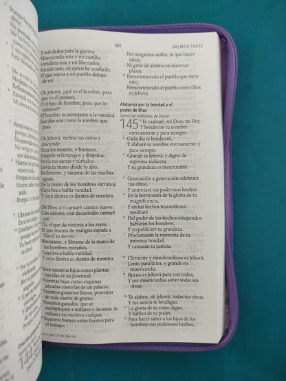 Biblia RVR 1960 Letra Grande Estuche lila con Mariposas