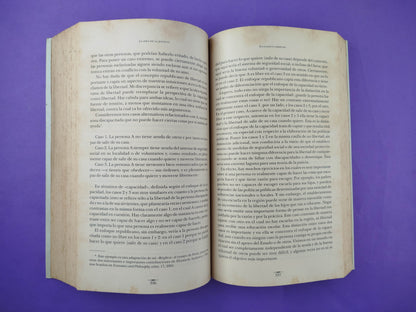 La idea de la justicia