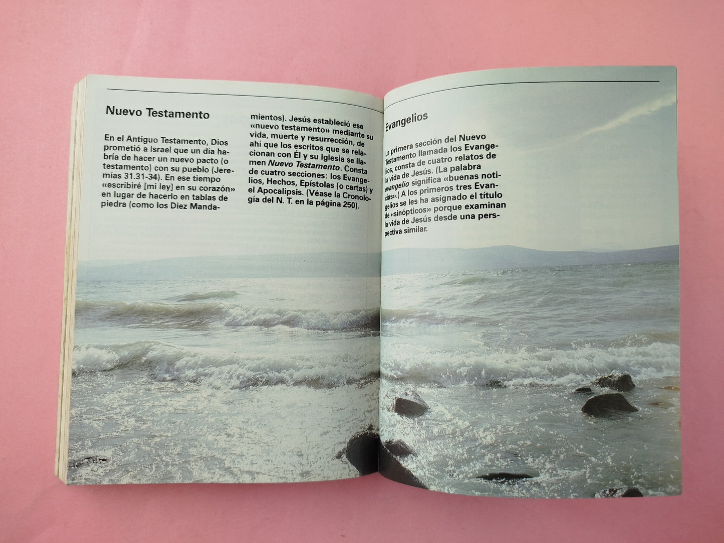 Manual bíblico de bolsillo