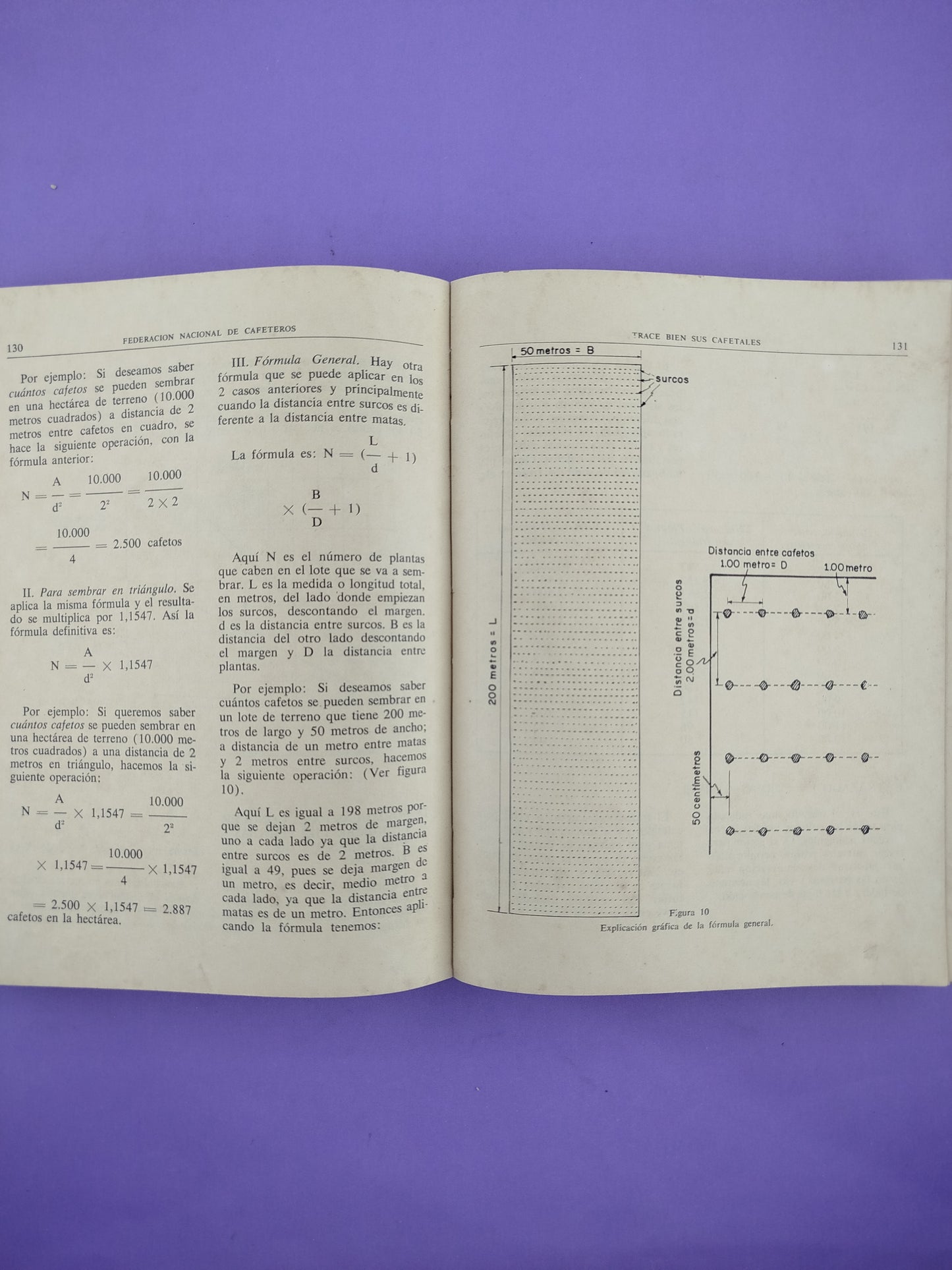 Manual Del Cafetero Colombiano