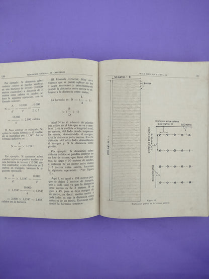 Manual Del Cafetero Colombiano