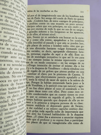 En busca del tiempo perdido 2. A la sombra de las muchachas en flor