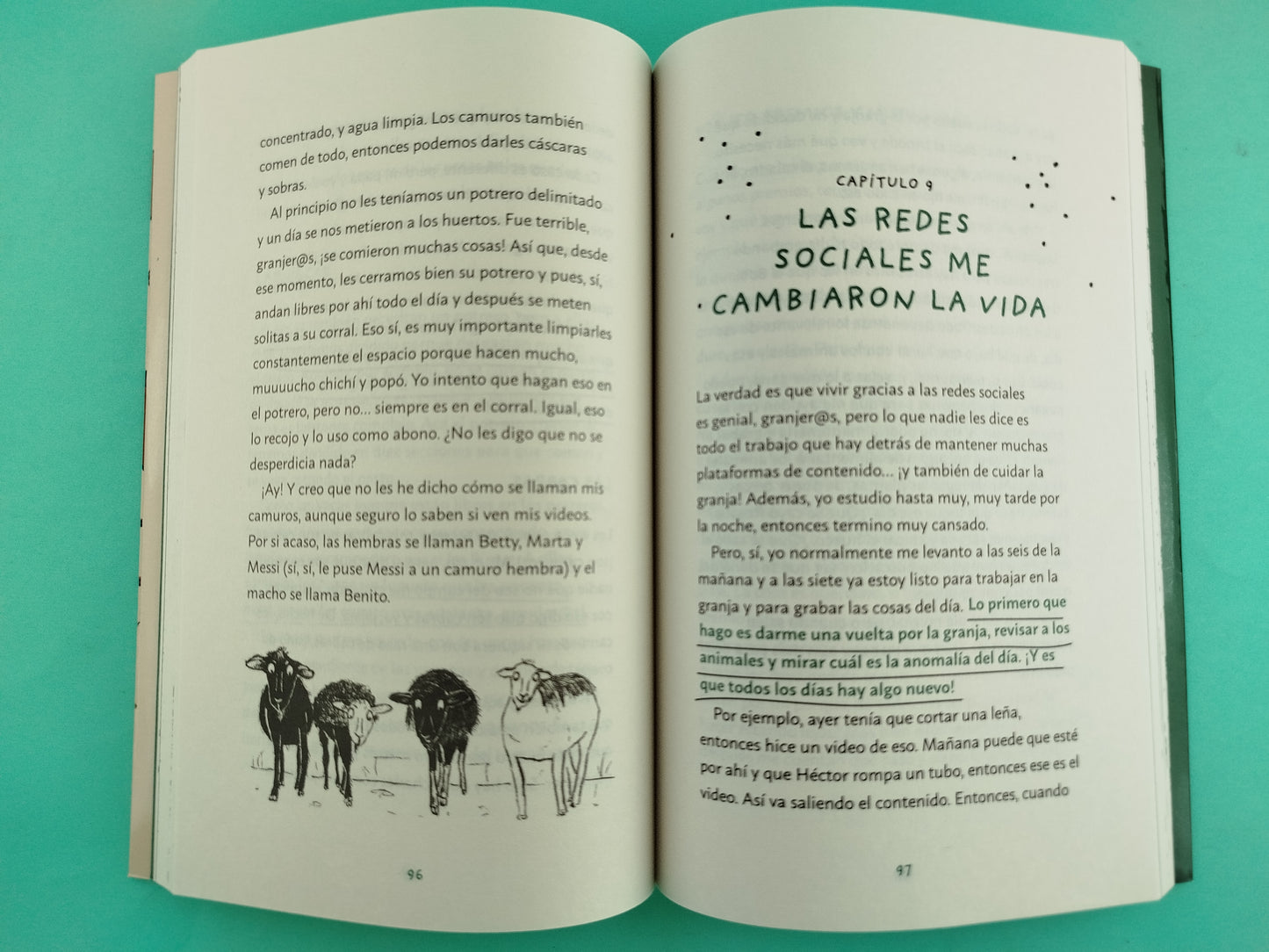 La granja del borrego