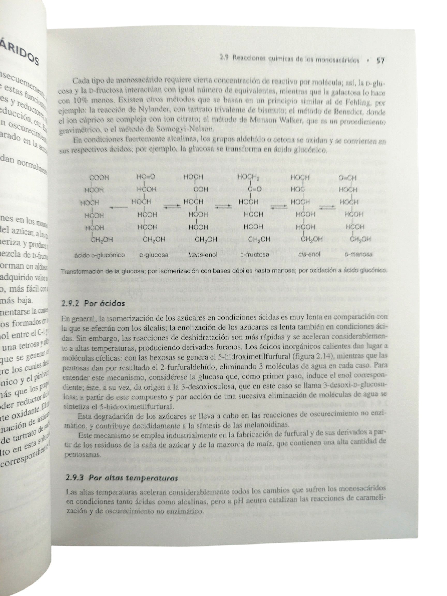 Química de los alimentos. Cuarta edición. by Salvador Baudi Dergal