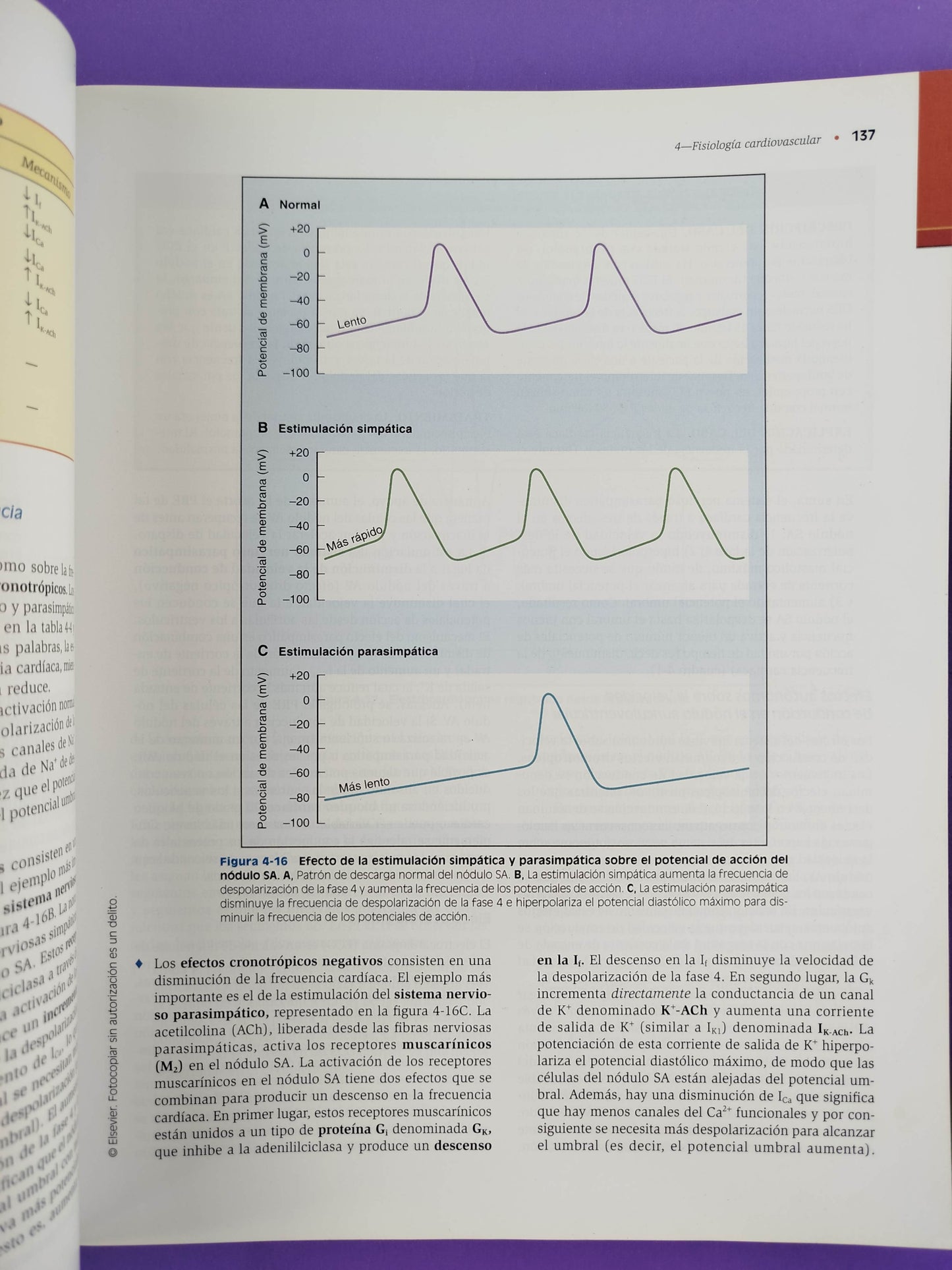 Fisiología 5ta edición by Linda S. Costanzo
