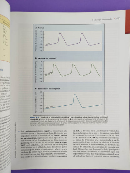 Fisiología 5ta edición by Linda S. Costanzo