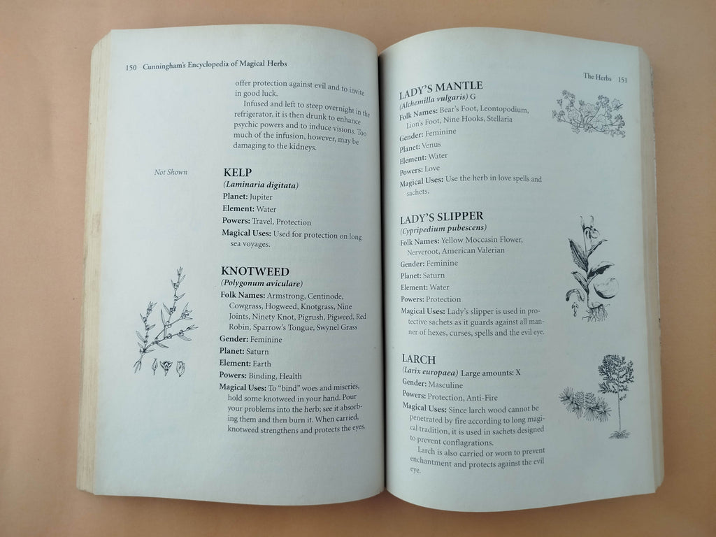 Cunningham's Encyclopedia of Magical Herbs by Scott Cunningham