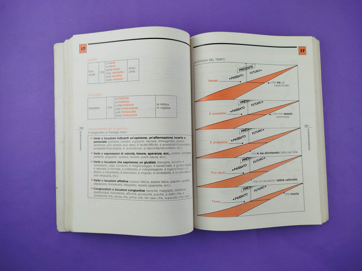 In Italiano Level 2 by Chiuchiù, Angelo; Minciarelli, Fausto; Silvestrini, Marcello