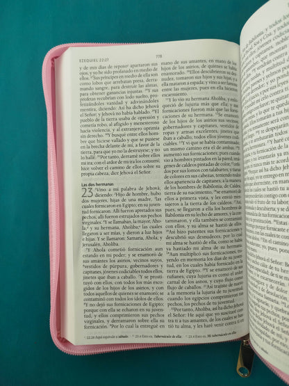 Biblia RVR 1960 Letra Grande Estuche Rosada