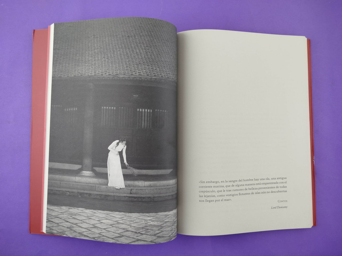 Principio de Karenina