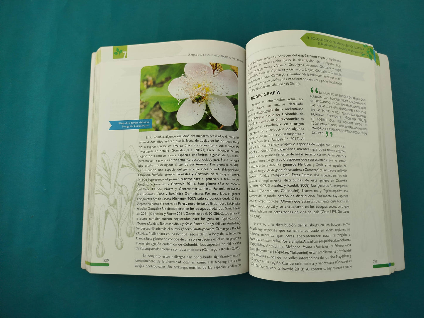 el bosque seco tropical en colombia