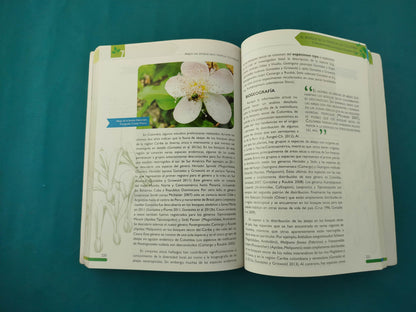 el bosque seco tropical en colombia